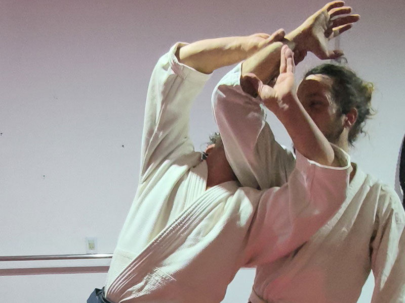 Clase de Aikido para adultos en Tigre